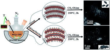 Graphical abstract: Mechanistic insight into the formation of colloidal WS2 nanoflakes in hot alkylamine media