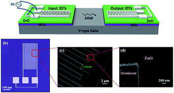 Graphical abstract: Generation and enhancement of surface acoustic waves on a highly doped p-type GaAs substrate