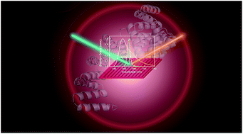 Graphical abstract: Engineered protein-based functional nanopatterned materials for bio-optical devices