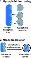 Graphical abstract: Hydrophobic ion pairing: encapsulating small molecules, peptides, and proteins into nanocarriers