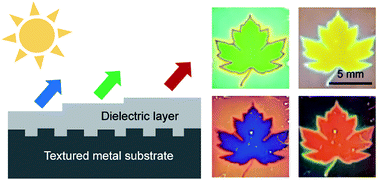 Graphical abstract: Structural color printing with a dielectric layer coated on a nanotextured metal substrate: simulation and experiment