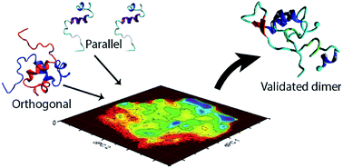 Graphical abstract: Spontaneous self-assembly of amyloid β (1–40) into dimers