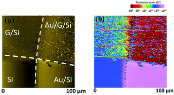 Graphical abstract: A low Schottky barrier height and transport mechanism in gold–graphene–silicon (001) heterojunctions