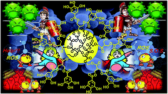 Graphical abstract: Reshaped as polyester-based nanoparticles, gallic acid inhibits platelet aggregation, reactive oxygen species production and multi-resistant Gram-positive bacteria with an efficiency never obtained