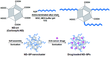 Graphical abstract: Anticancer drug delivery to cancer cells using alkyl amine-functionalized nanodiamond supraparticles