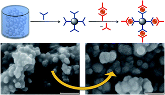 Graphical abstract: The SALSAC approach: comparing the reactivity of solvent-dispersed nanoparticles with nanoparticulate surfaces