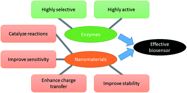 Graphical abstract: Advances in nanomaterial application in enzyme-based electrochemical biosensors: a review