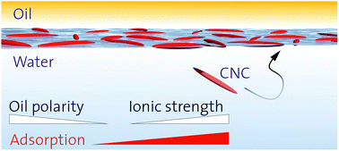 Graphical abstract: Adsorption of charged anisotropic nanoparticles at oil–water interfaces