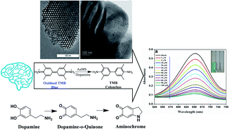 Graphical abstract: A gold nanoparticle-intercalated mesoporous silica-based nanozyme for the selective colorimetric detection of dopamine