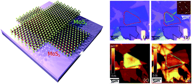 Graphical abstract: Evolution of inter-layer coupling in artificially stacked bilayer MoS2