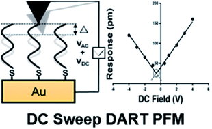 Graphical abstract: Accurate electromechanical characterization of soft molecular monolayers using piezo force microscopy