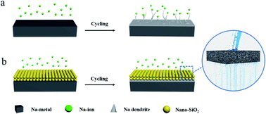 Graphical abstract: Nano-SiO2 coating enabled uniform Na stripping/plating for dendrite-free and long-life sodium metal batteries