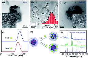 Graphical abstract: In situ thermal fabrication of copper sulfide–polymer hybrid nanostructures for tunable plasmon resonance