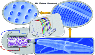 Graphical abstract: Diatom frustules enhancing the efficiency of gel polymer electrolyte based dye-sensitized solar cells with multilayer photoelectrodes