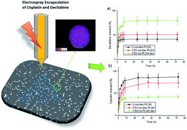 Graphical abstract: Enhanced efficacy in drug-resistant cancer cells through synergistic nanoparticle mediated delivery of cisplatin and decitabine