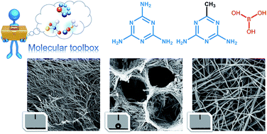 Graphical abstract: Boron nitride aerogels consisting of varied superstructures