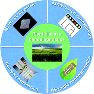 Graphical abstract: Agricultural nanodiagnostics for plant diseases: recent advances and challenges