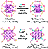 Graphical abstract: The mechanism of metal exchange in non-metallic nanoclusters