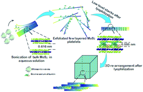 Graphical abstract: ‘Template-free’ hierarchical MoS2 foam as a sustainable ‘green’ scavenger of heavy metals and bacteria in point of use water purification