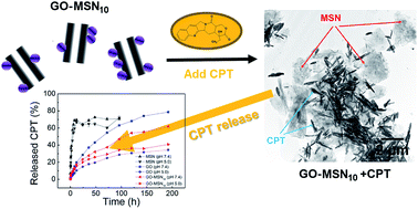 Graphical abstract: Understanding the driving forces of camptothecin interactions on the surface of nanocomposites based on graphene oxide decorated with silica nanoparticles