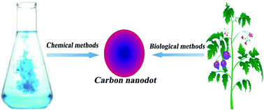 Graphical abstract: Recent advancements in the applications of carbon nanodots: exploring the rising star of nanotechnology