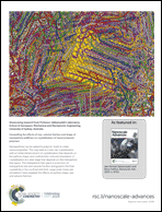 Graphical abstract: Inside back cover