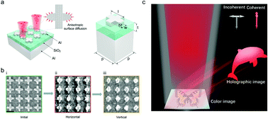 Graphical abstract: Full-visible multifunctional aluminium metasurfaces by in situ anisotropic thermoplasmonic laser printing