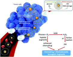 Graphical abstract: Sequential catalytic nanomedicine augments synergistic chemodrug and chemodynamic cancer therapy
