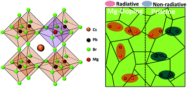 Graphical abstract: Suppressing defect states in CsPbBr3 perovskite via magnesium substitution for efficient all-inorganic light-emitting diodes