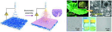 Graphical abstract: Taro leaf-inspired and superwettable nanonet-covered nanofibrous membranes for high-efficiency oil purification