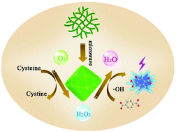 Graphical abstract: Dimension conversion: from a 1D metal–organic gel into a 3D metal–organic porous network with high-efficiency multiple enzyme-like activities for cascade reactions