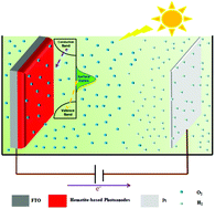 Graphical abstract: Engineering surface states of hematite based photoanodes for boosting photoelectrochemical water splitting