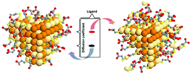 Graphical abstract: Nonsolvent induced reconfigurable bonding configurations of ligands in nanoparticle purification