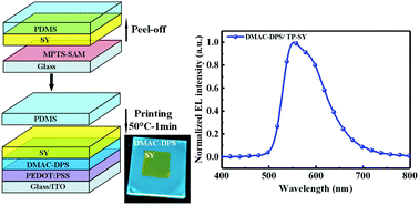 Graphical abstract: Transfer printing of polymer light-emitting devices with a small molecular seeding layer featuring thermally activated delayed fluorescence for triplet harvesting