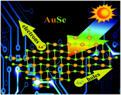 Graphical abstract: Highly stable two-dimensional gold selenide with large in-plane anisotropy and ultrahigh carrier mobility