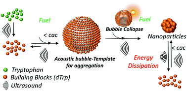 Graphical abstract: Sound-driven dissipative self-assembly of aromatic biomolecules into functional nanoparticles