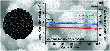 Graphical abstract: Molybdenum carbide nanostructures for electrocatalytic polysulfide conversion in lithium–polysulfide batteries