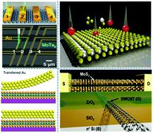 Graphical abstract: Interface engineering of two-dimensional transition metal dichalcogenides towards next-generation electronic devices: recent advances and challenges