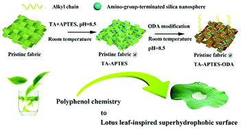 Graphical abstract: Fabrication of durable self-repairing superhydrophobic fabrics via a fluorinate-free waterborne biomimetic silicification strategy