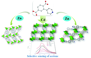 Graphical abstract: Luminescent metal–organic frameworks with a 2-(4-pyridyl)-terephthalic acid ligand for detection of acetone