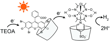 Graphical abstract: Host–guest chemistry between cyclodextrin and a hydrogen evolution catalyst cobaloxime