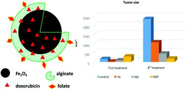 Graphical abstract: Doxorubicin release by magnetic inductive heating and in vivo hyperthermia-chemotherapy combined cancer treatment of multifunctional magnetic nanoparticles