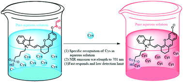 Graphical abstract: A near-infrared fluorescent probe for the discrimination of cysteine in pure aqueous solution and imaging of cysteine in hepatocellular carcinoma cells with facile cell-compatible ability