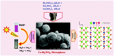 Graphical abstract: Influence of cobalt substitution on the crystal structure, band edges and photocatalytic properties of hierarchical Bi2WO6 microspheres