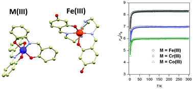 Graphical abstract: Ion-pair complexes of Schiff base Fe(iii) cations and complex anions