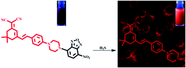 Graphical abstract: A novel near-infrared fluorescent hydrogen sulfide probe for live cell and tissue imaging