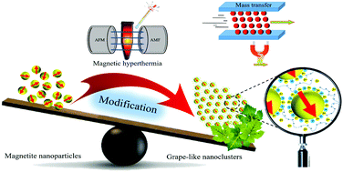 Graphical abstract: Anisotropic magnetite nanoclusters with enhanced magnetization as an efficient ferrofluid in mass transfer and liquid hyperthermia