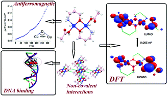 Graphical abstract: A combined experimental and theoretical approach to investigate the structure, magnetic properties and DNA binding affinity of a homodinuclear Cu(ii) complex