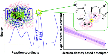 Graphical abstract: The QM/MM-QTAIM approach reveals the nature of the different reactivity of cephalosporins in the active site of L1 metallo-β-lactamase