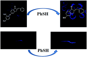 Graphical abstract: A water-soluble and highly specific fluorescent probe for imaging thiophenols in living cells and zebrafish